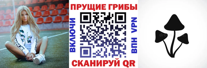 Галлюциногенные грибы Magic Shrooms shop какой сайт Октябрьск
